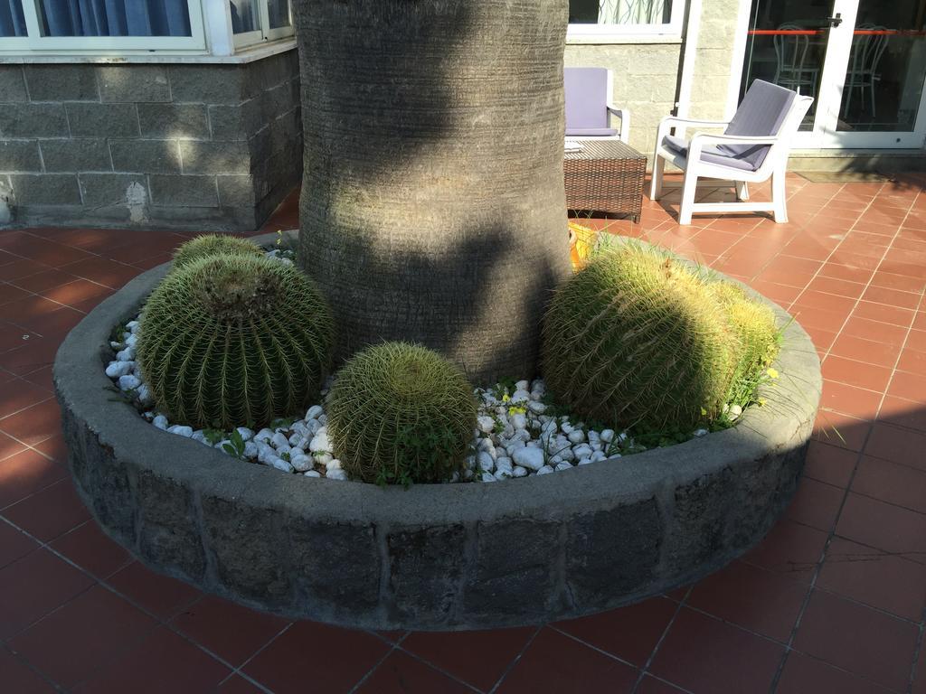 Hotel Villa Al Parco Forio di Ischia Exteriér fotografie